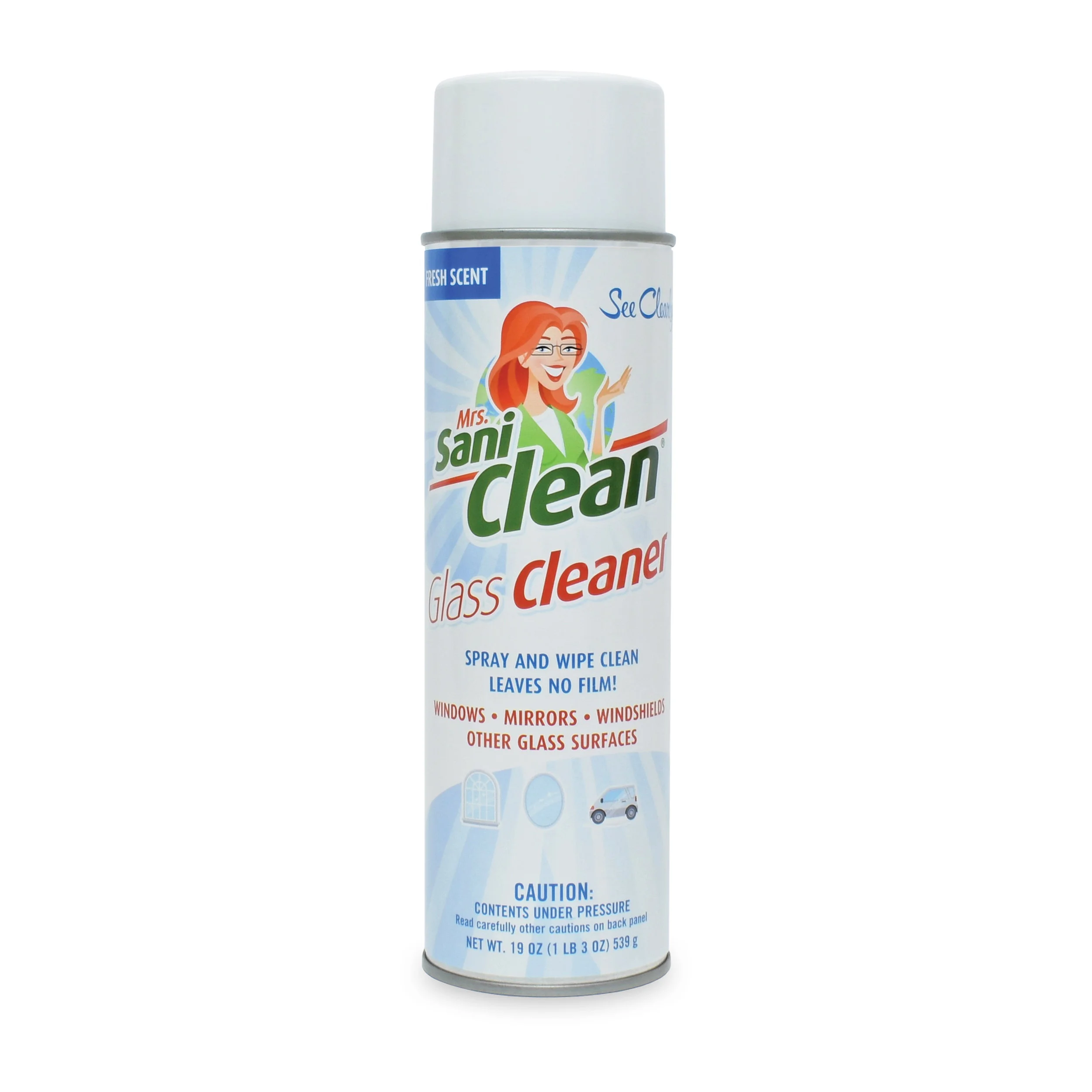 Glass Aerosol Cleaner