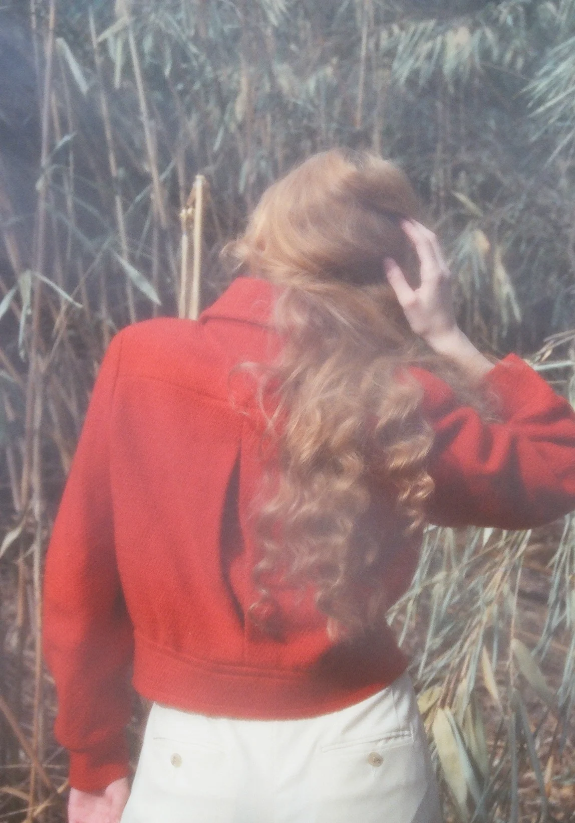 dries wool top 5.jpg