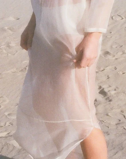 silk sheer dress 3.jpg