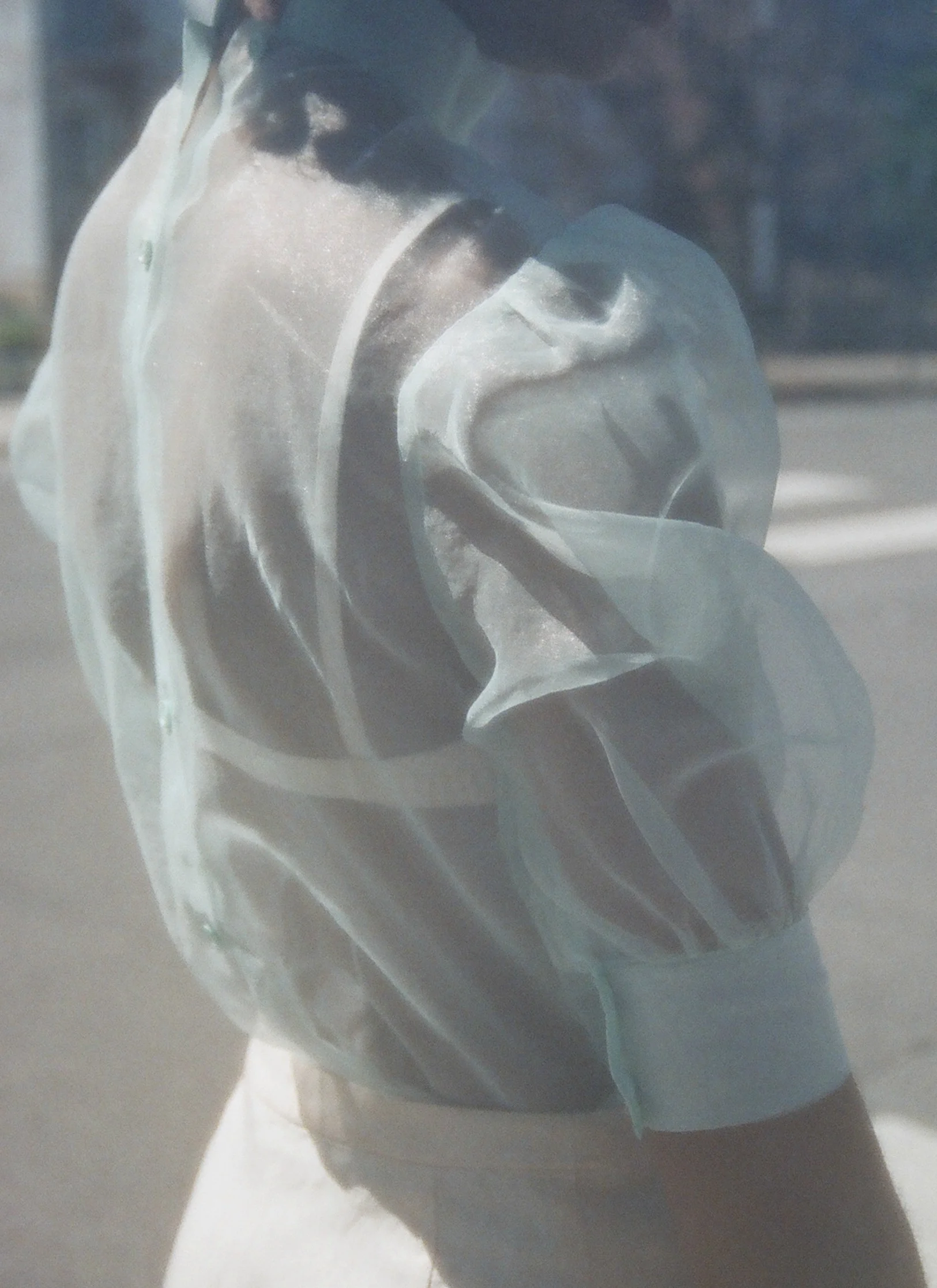 mint organza 1.jpg