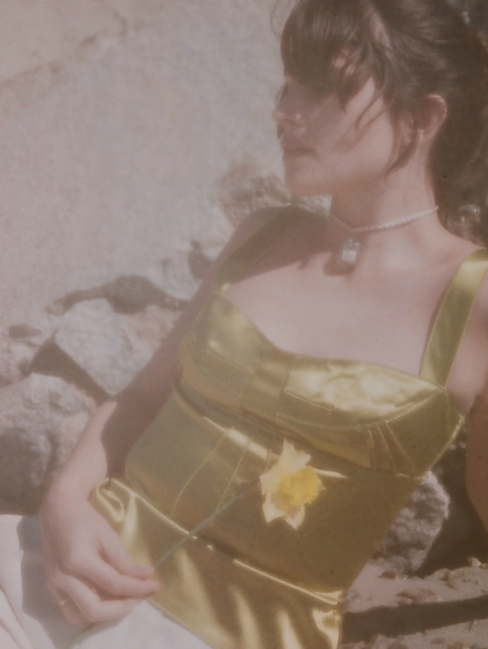 dolce gabbana bustier lime 2.jpg