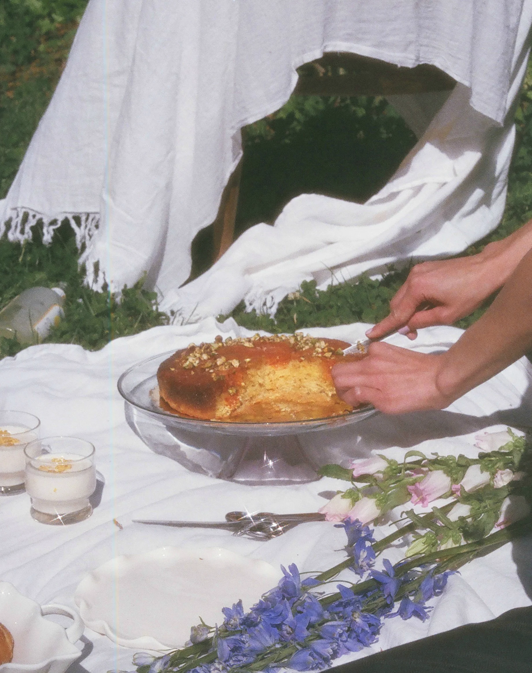 foodpic1.jpg
