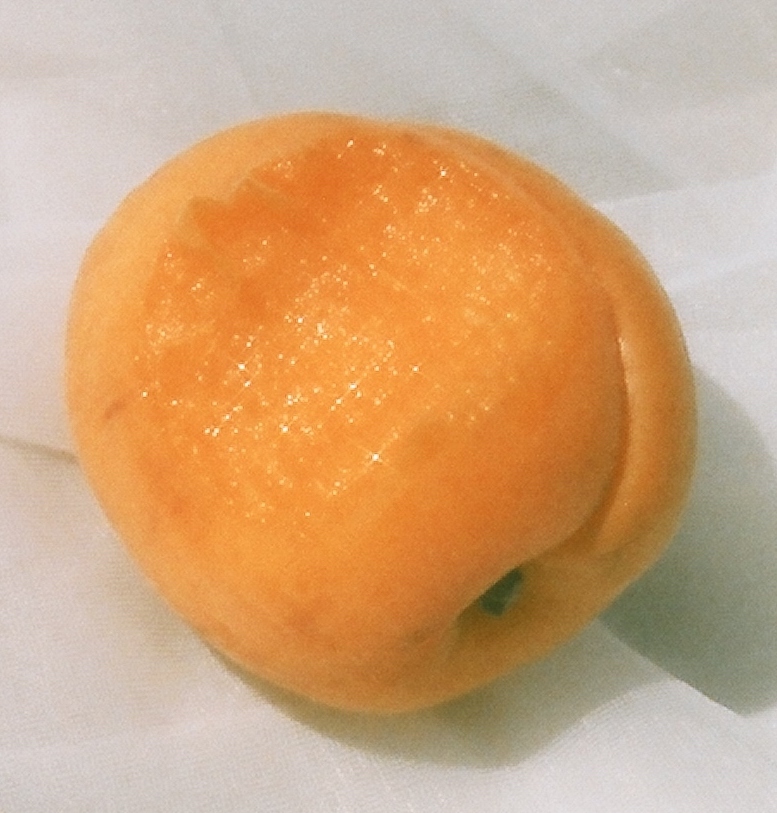 summer apricot 1.jpg