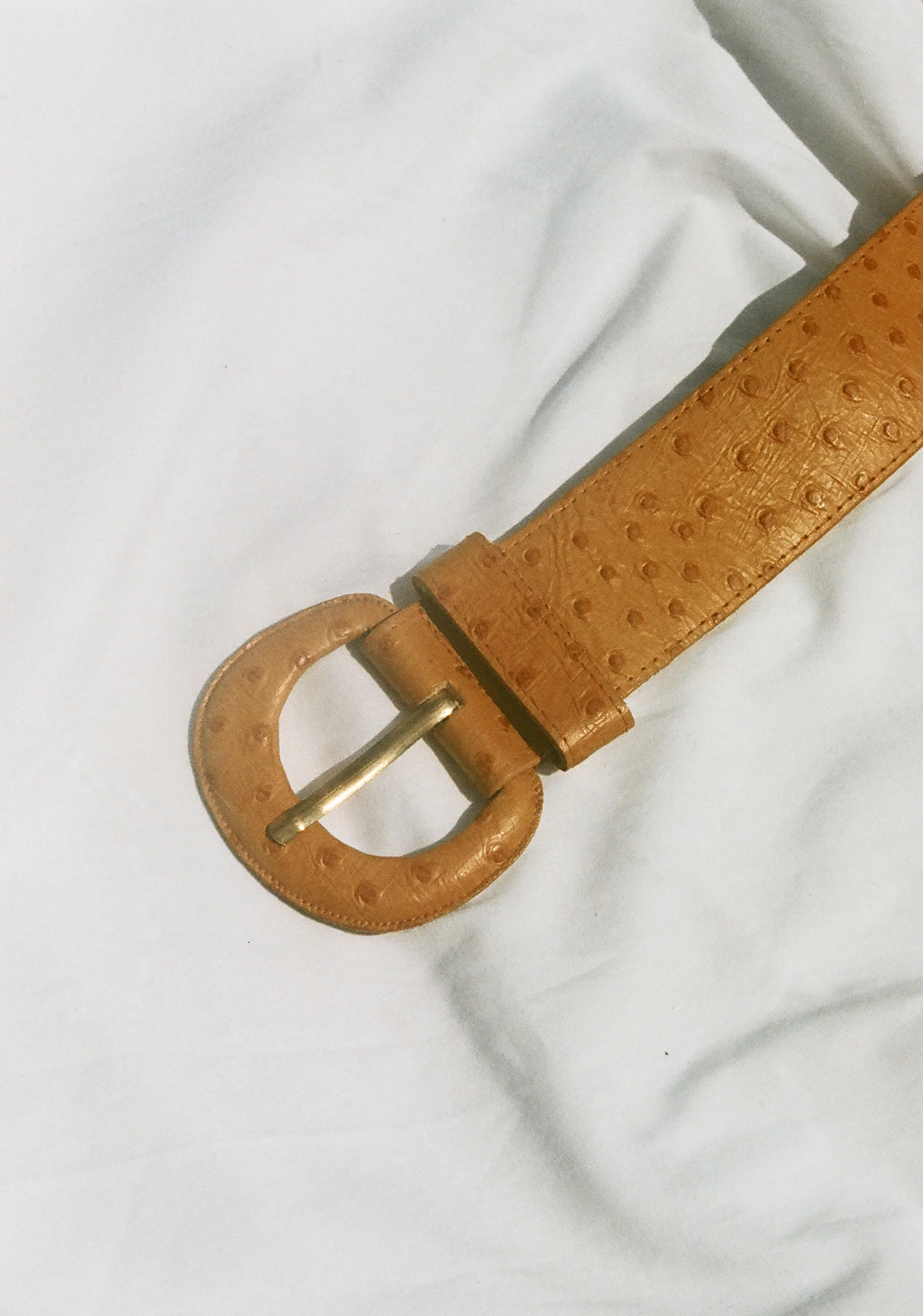 ostrich leather belt 92.jpg