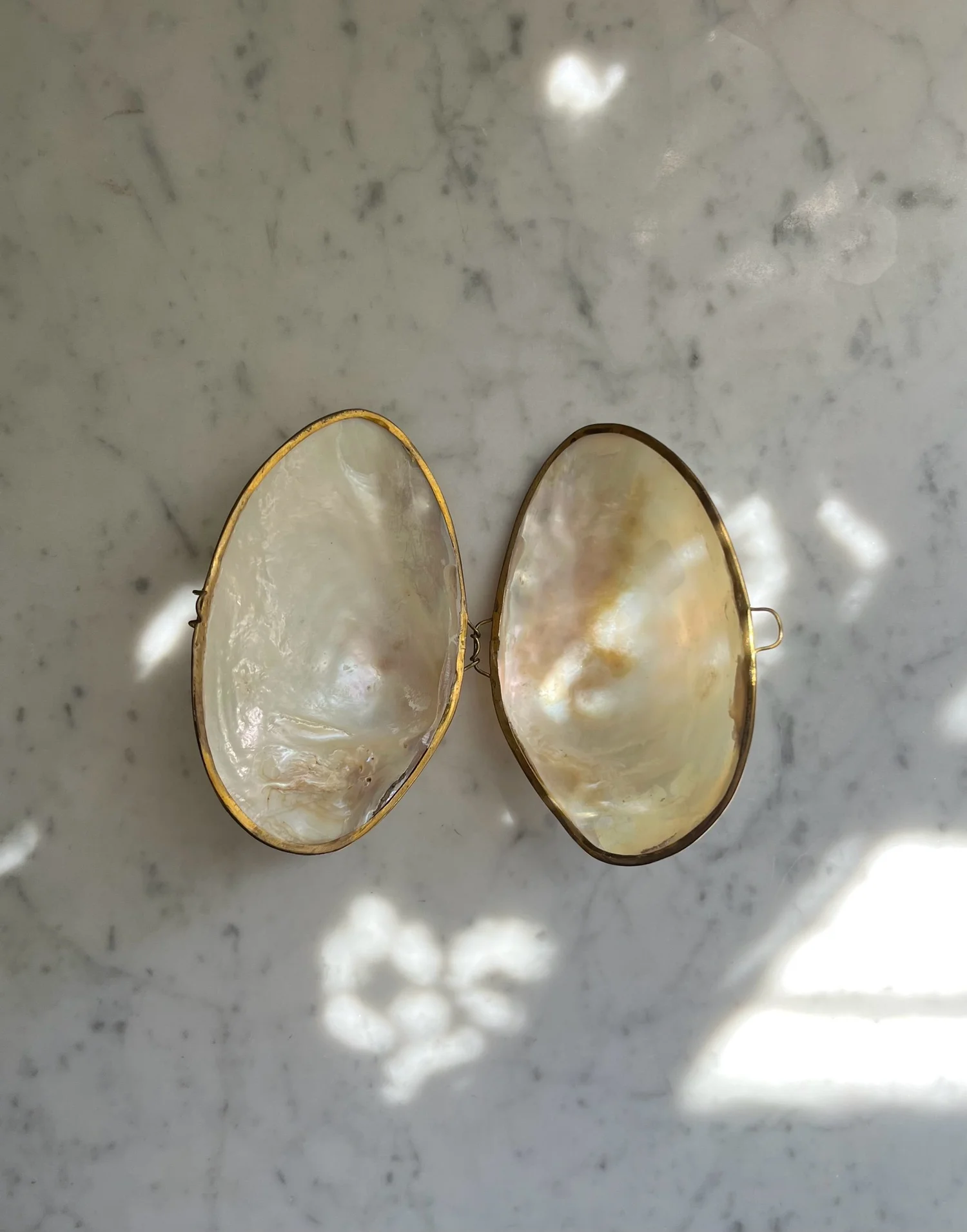 Vintage Mother of Pearl Shell Box — Lucia Zolea