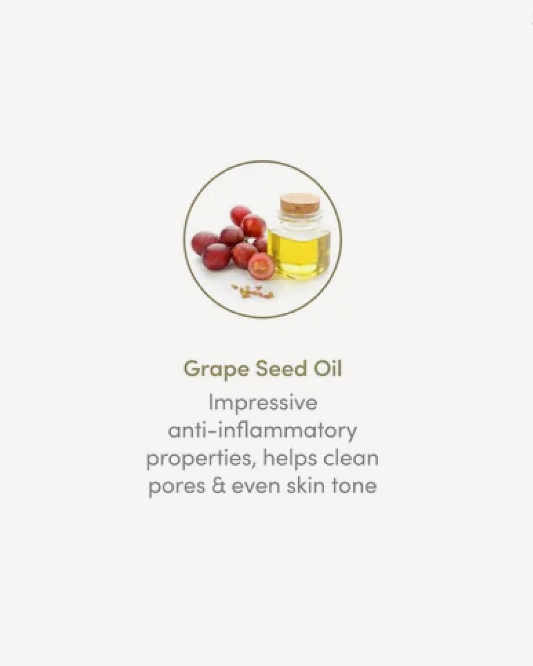 Manuka_Oil_Skincare_Slide4_L2AG (1).jpg