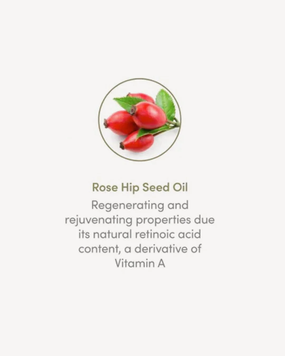Manuka_Oil_Skincare_Slide5_L2AG (1).jpg