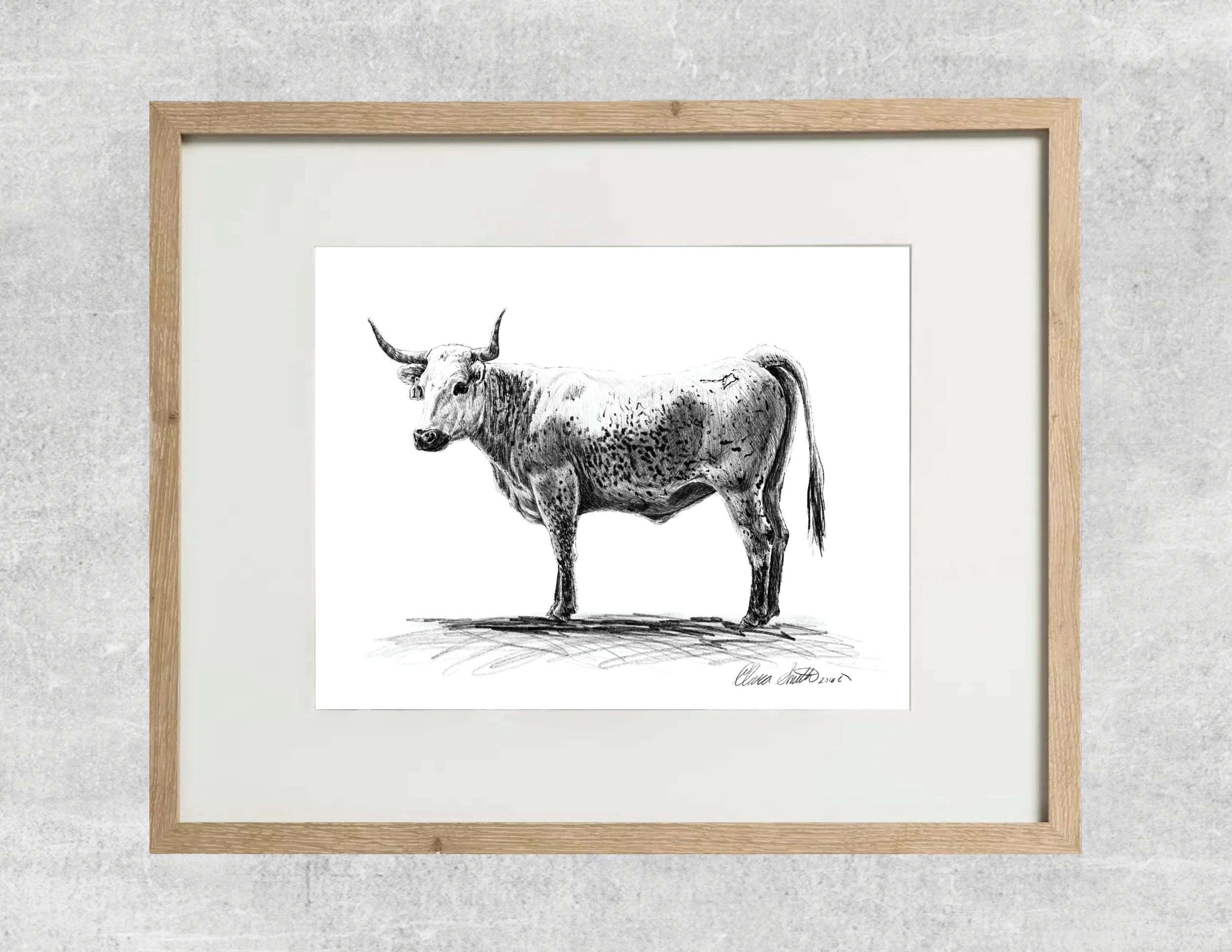 longhorn framed.jpg
