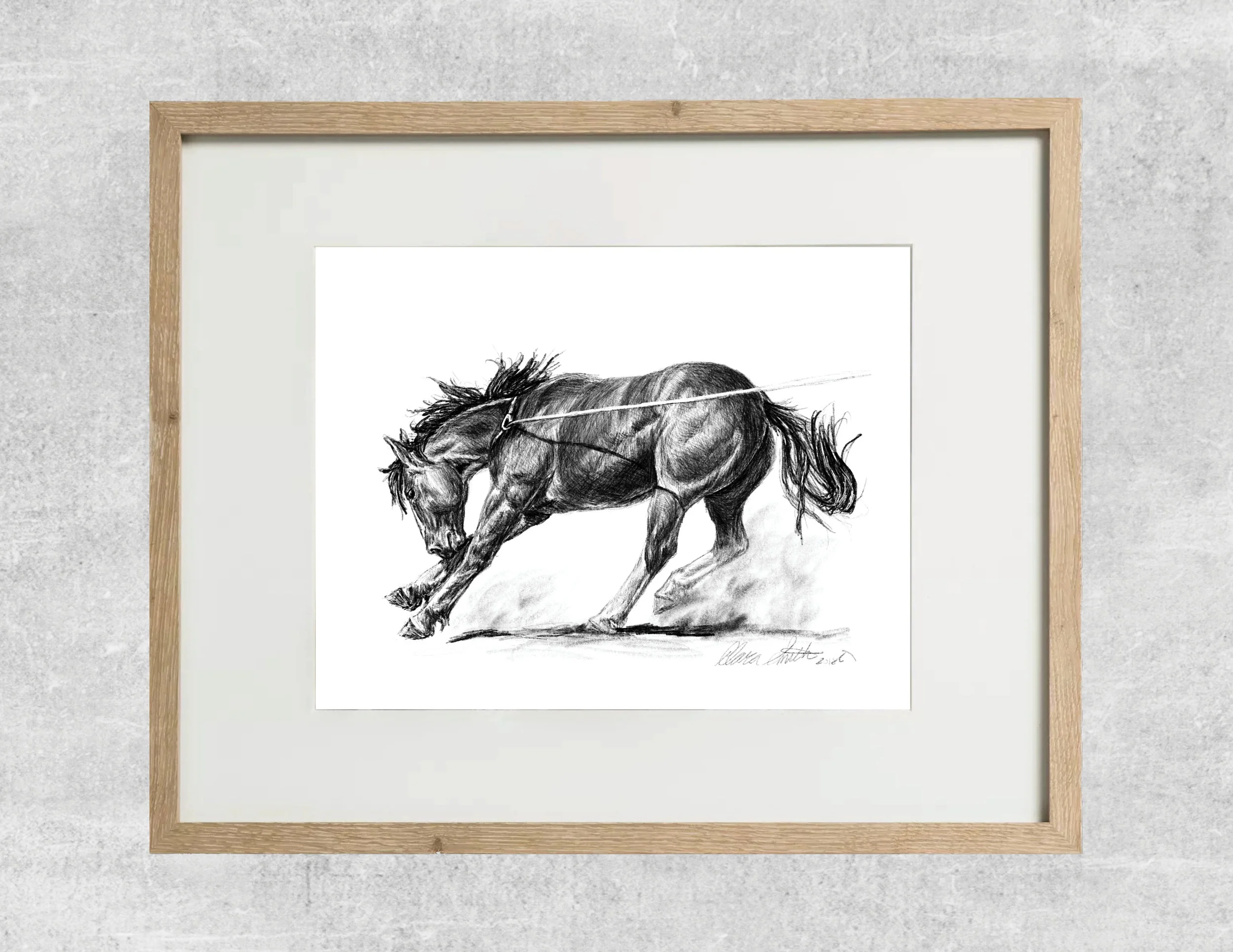 roughstock colt framed.jpg