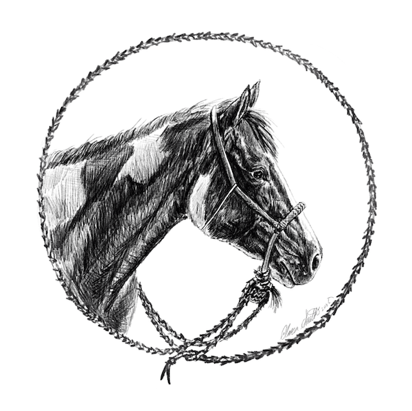 Bosal Horse.png