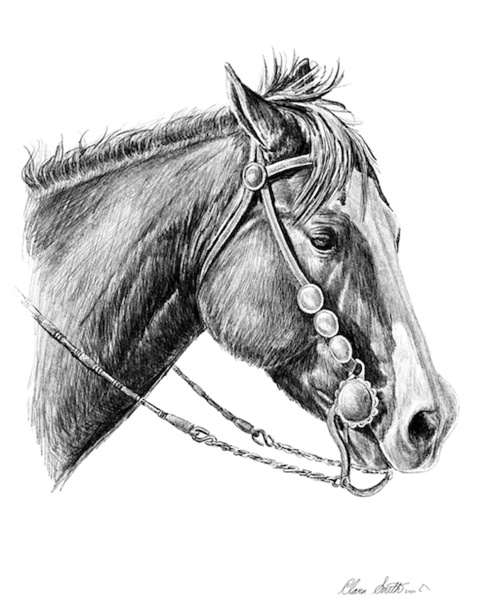 Bosal Horse — Clara Smith Art and Design