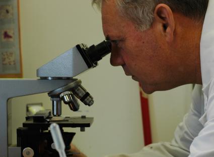 Dr. Corrigan examining a microscopic sample