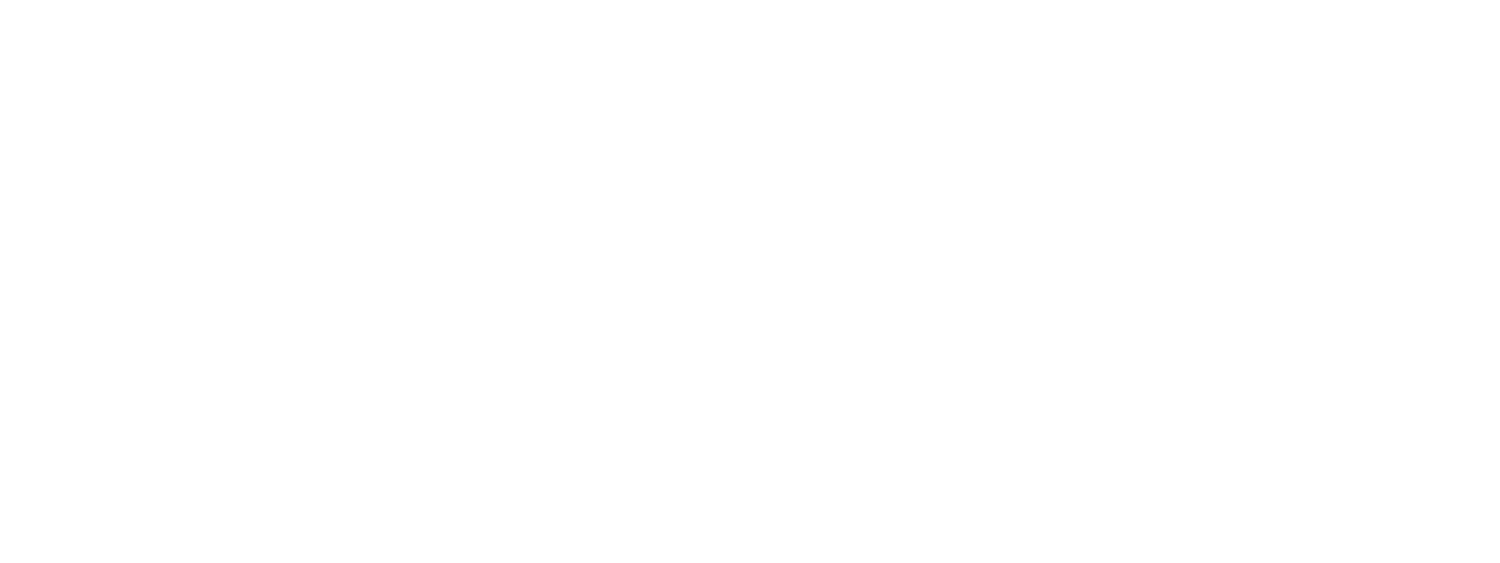 Mountain Star Properties 