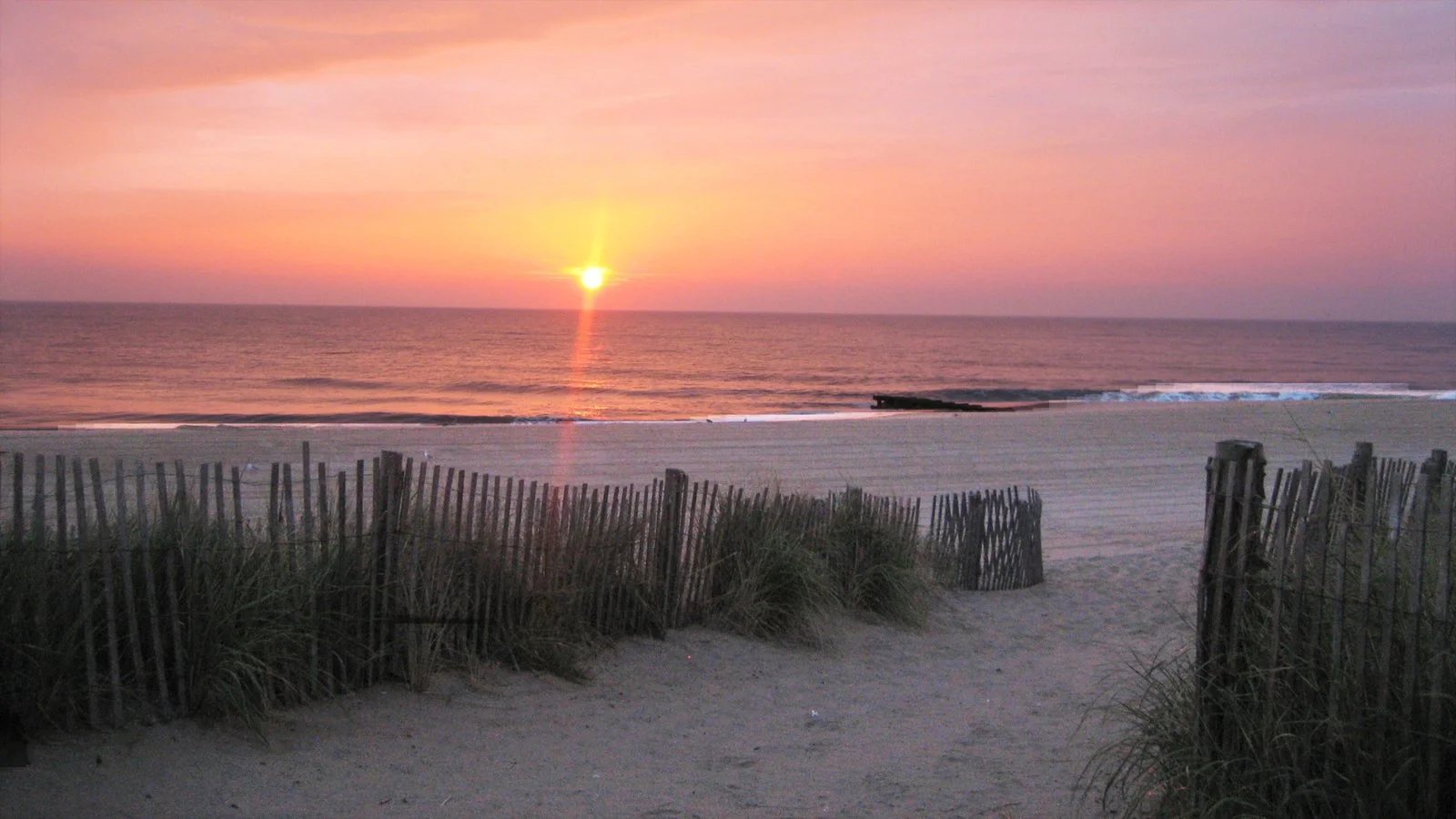 35036-Rehoboth-Beach.jpg
