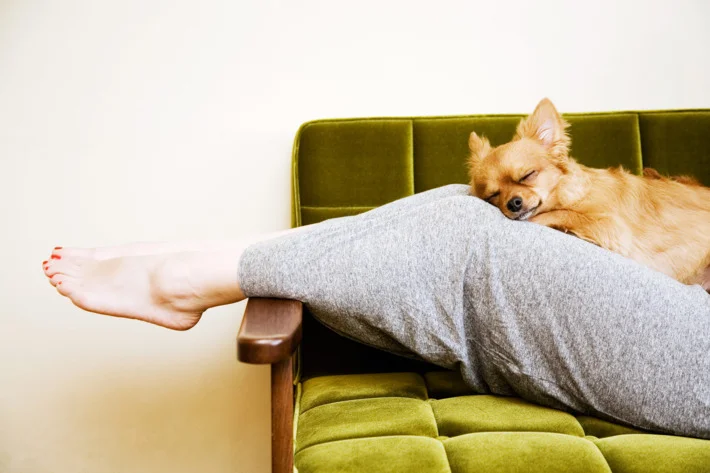 How to be excellent (or at least pretty good) at cancelling plans