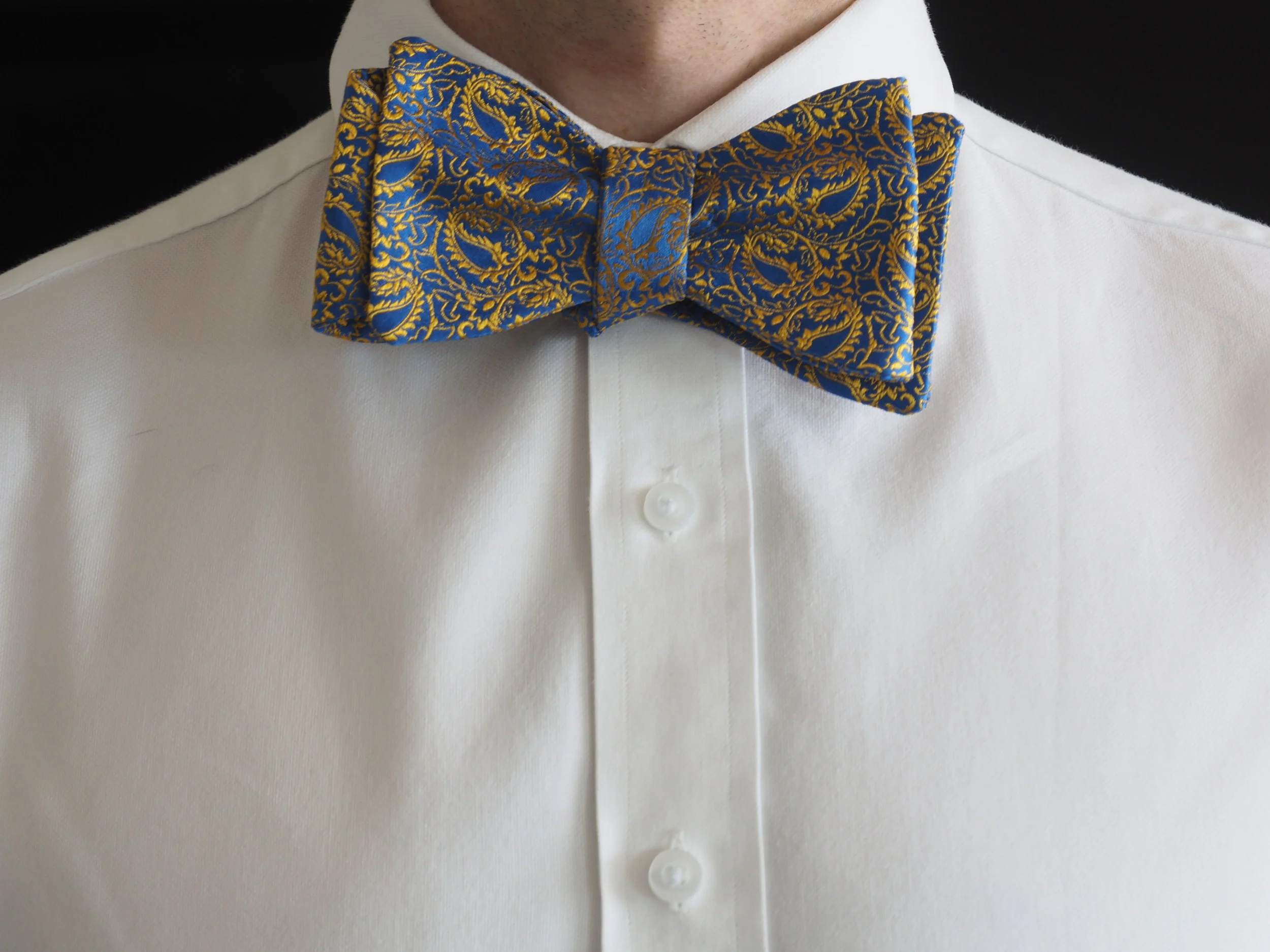 gold and blue paisley silk bow tie