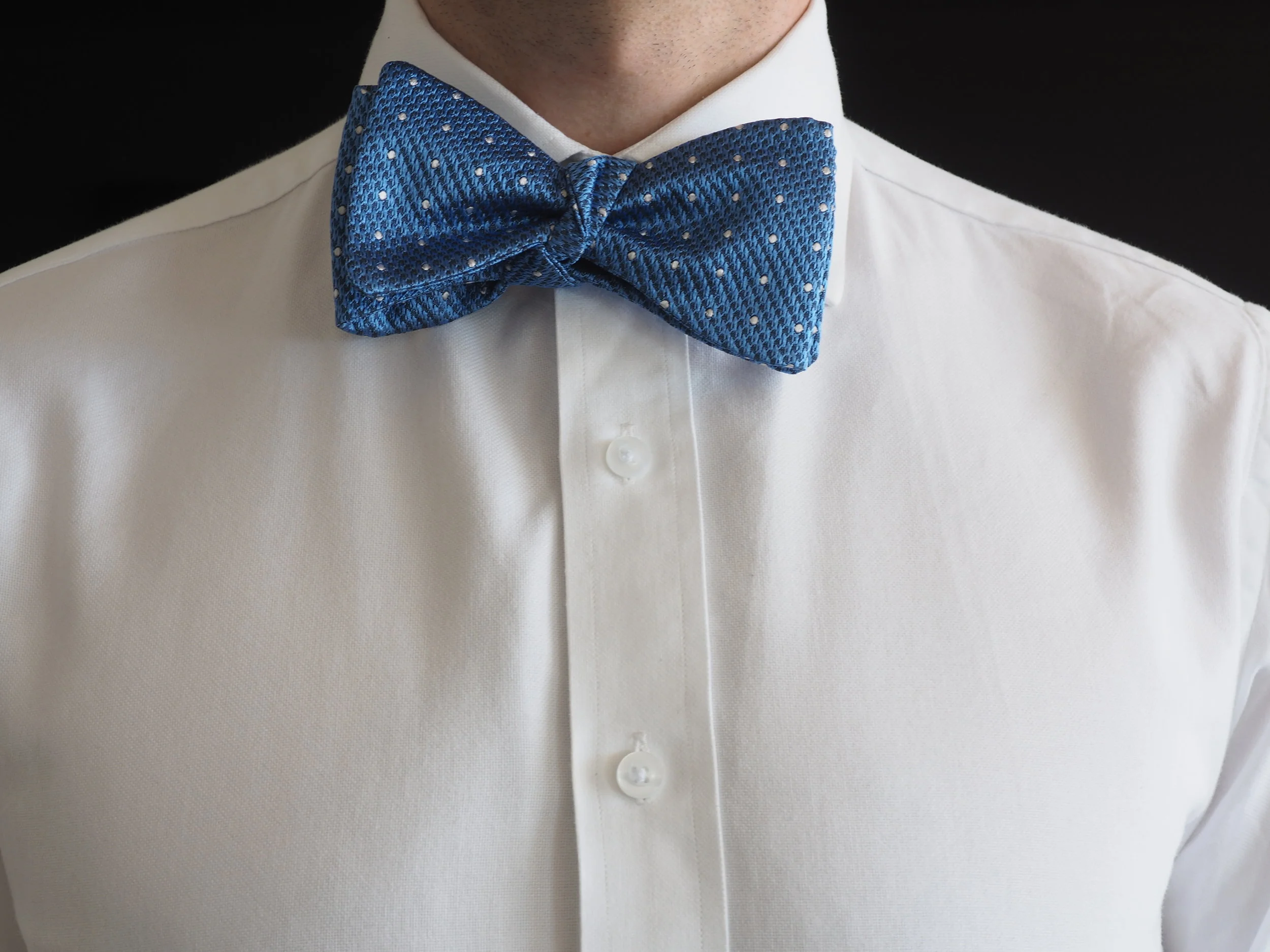 blue and white poka dot silk bow tie
