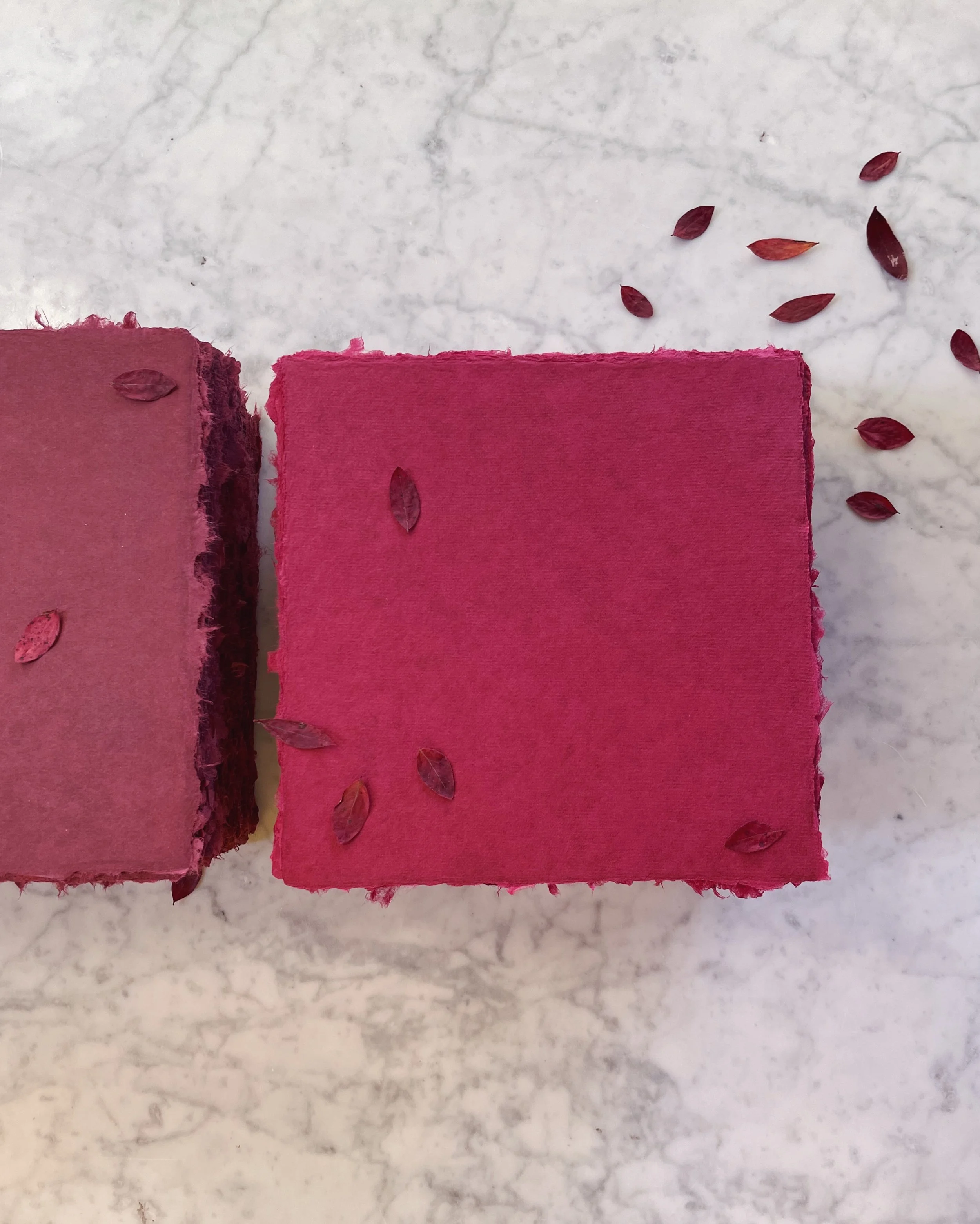 experimental-red-squares.jpg