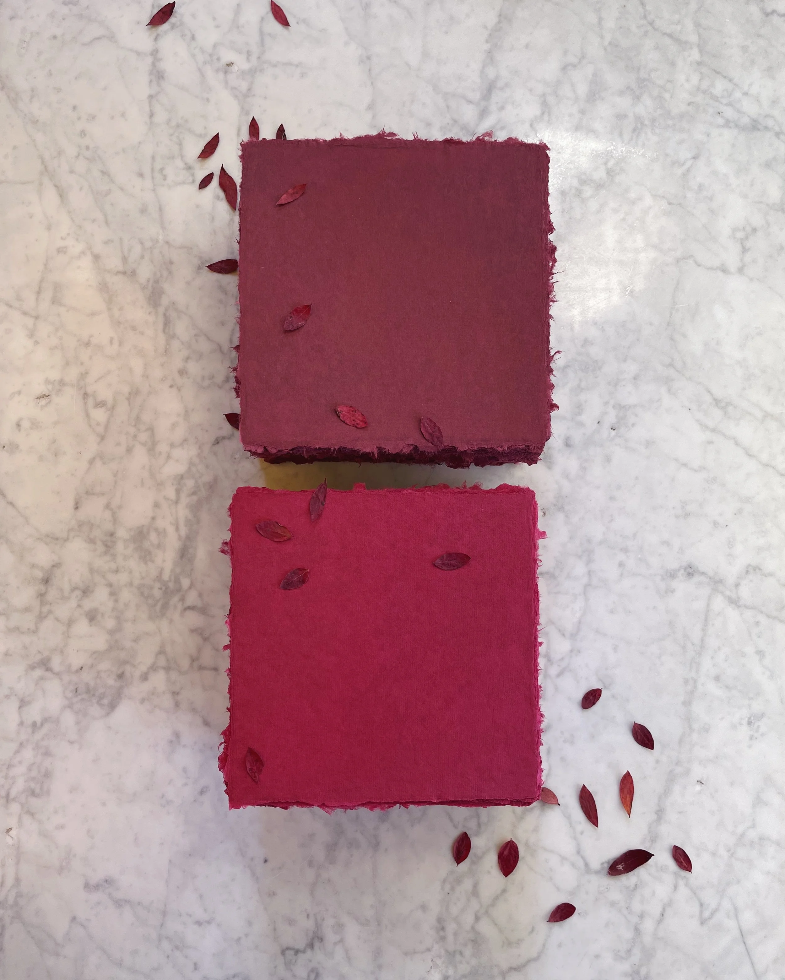 red-experiment-paper.jpg