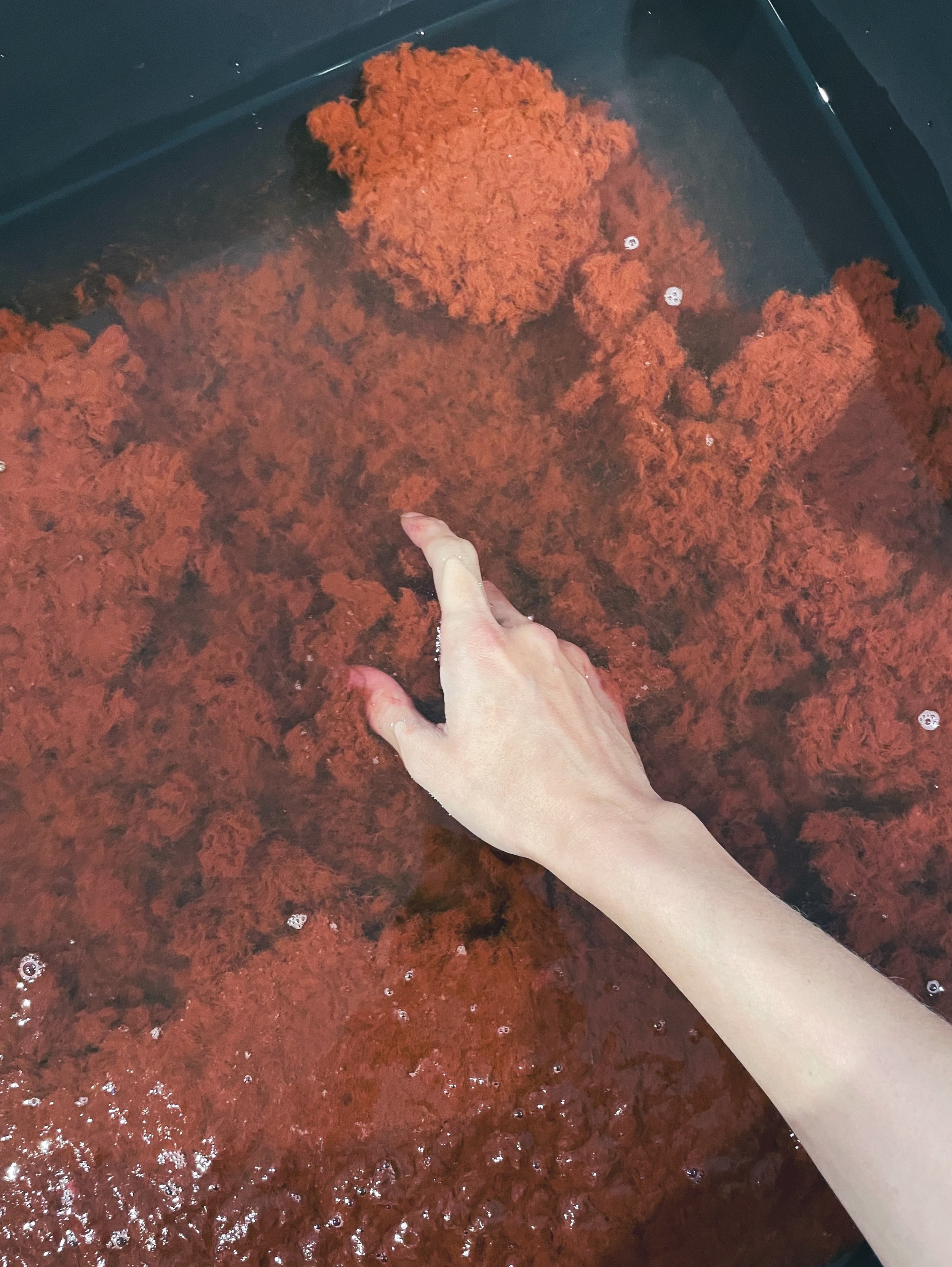 Geometric Stretch Earrings