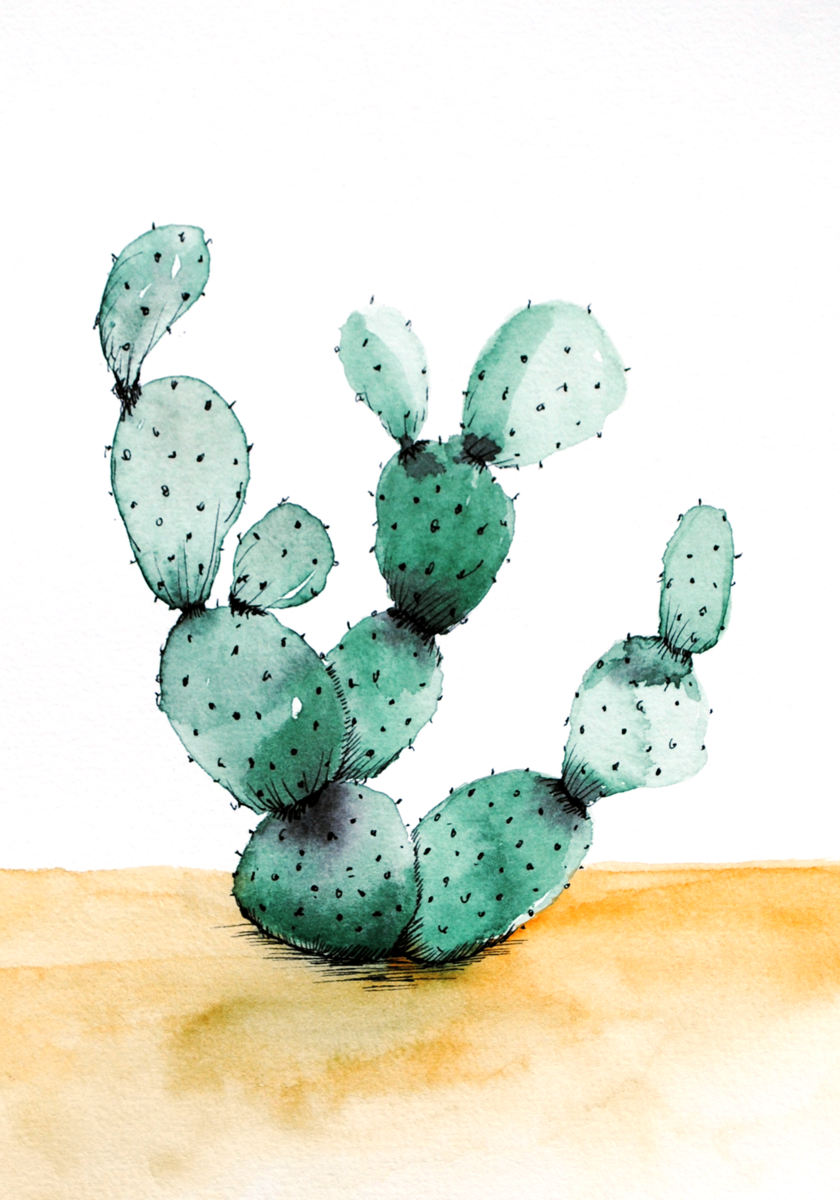Cactus1.png