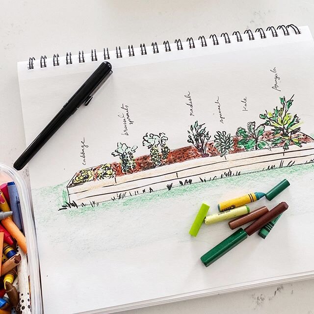 Happy earth day! Here is hoping my patch of earth and crops lived through the drop in temps last night. 🙏🏾 Brought to you by Dane&rsquo;s shitty broken crayons and #pentelbrushpen 
#gardendreams #theydrawandgarden #sketchbook #5minuteartist #5minut