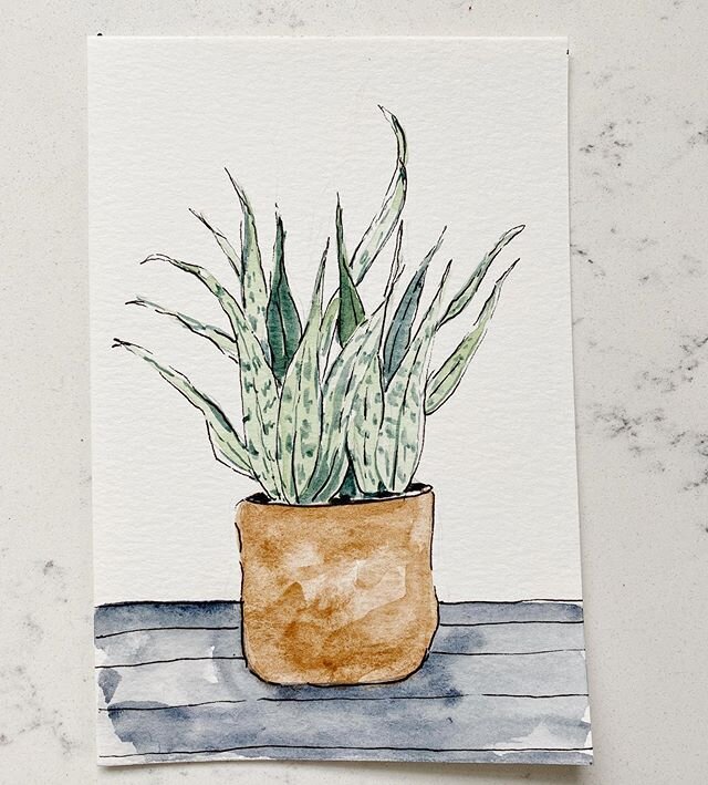 All of our plants are hidden in corners safely away from Max&rsquo;s little digging hands. One day we will put them in their right place again. Until then, I paint my plant dreams. 
Thanks @nbickart for this Mother&rsquo;s Day commission.