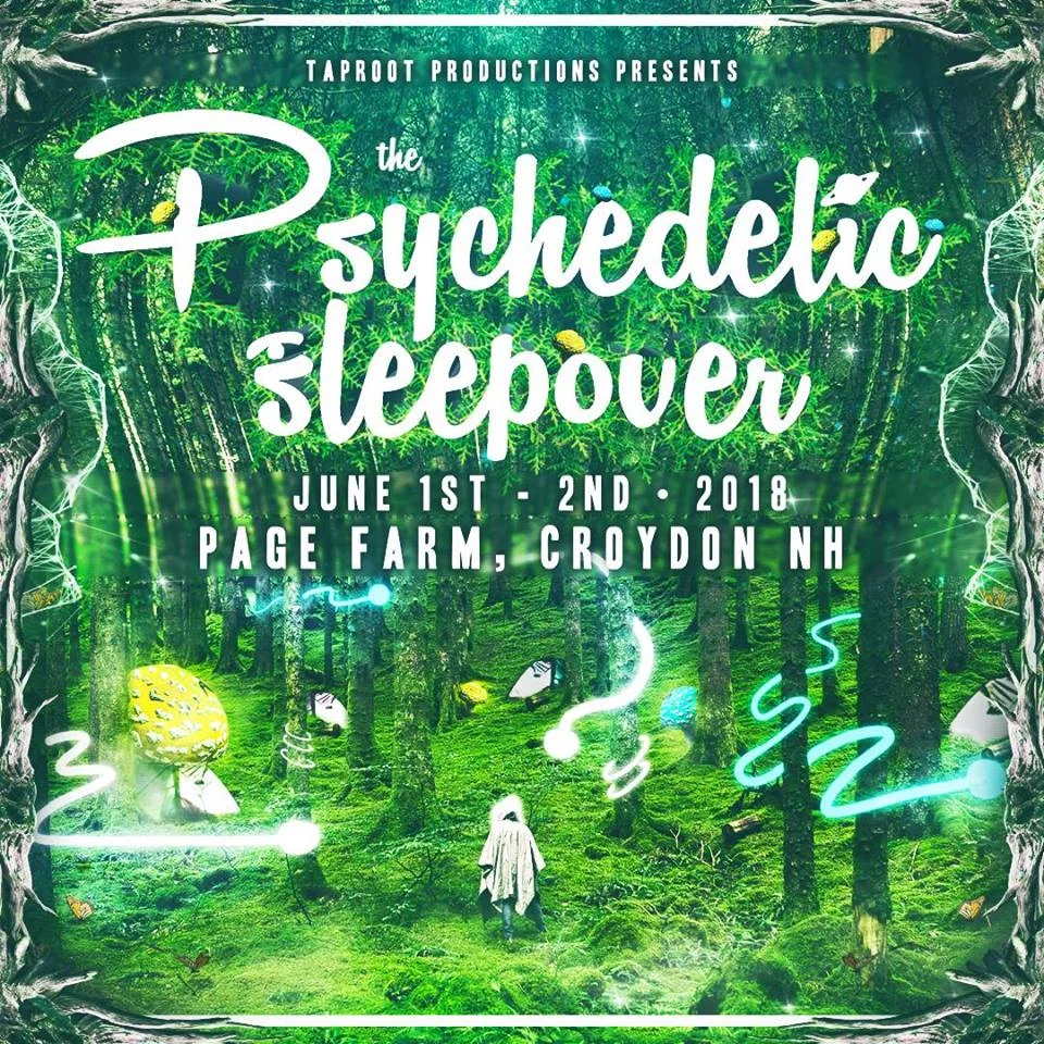 Artists to Watch - Psychedelic Sleepover Undercard