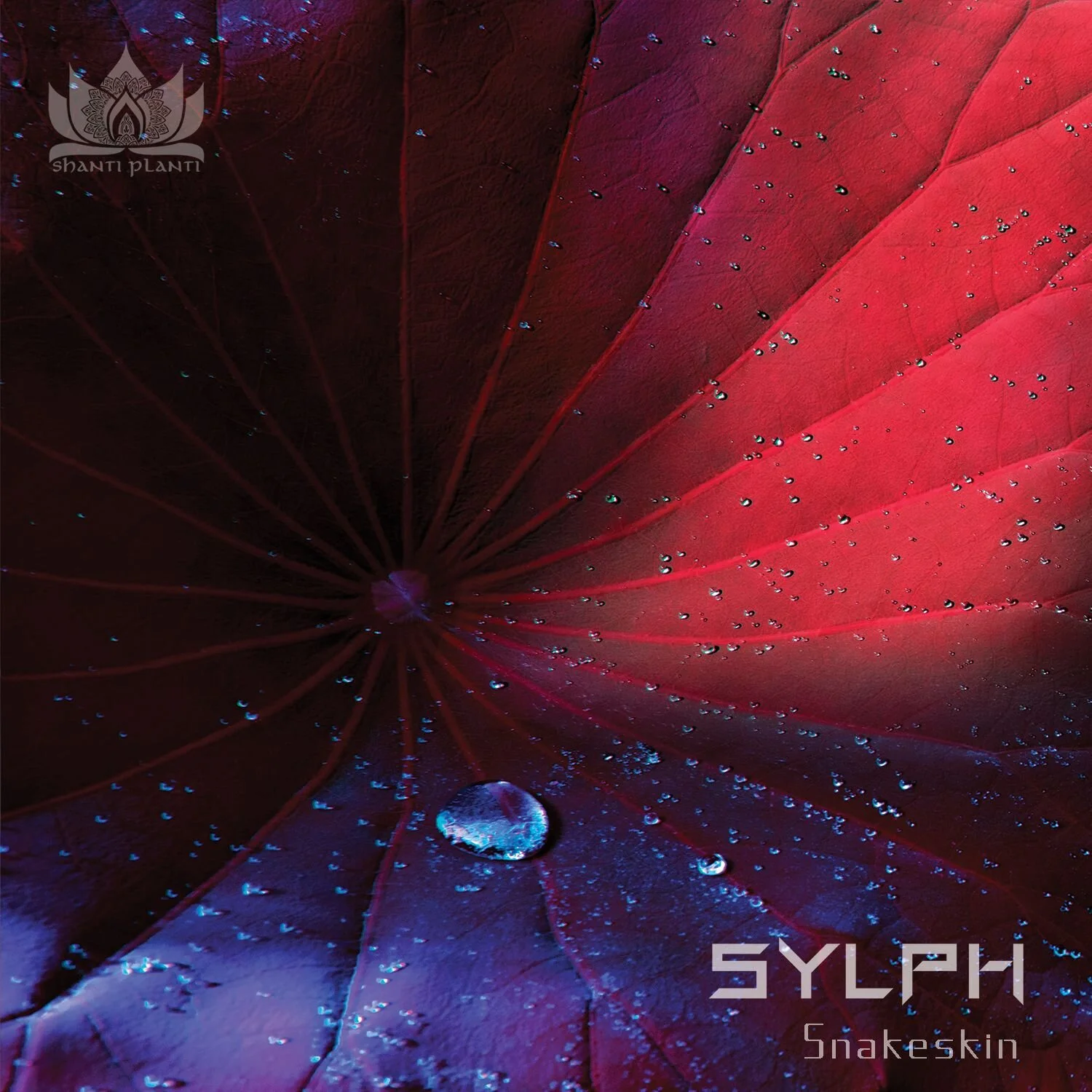 Sylph Upends Expectations with Snakeskin EP