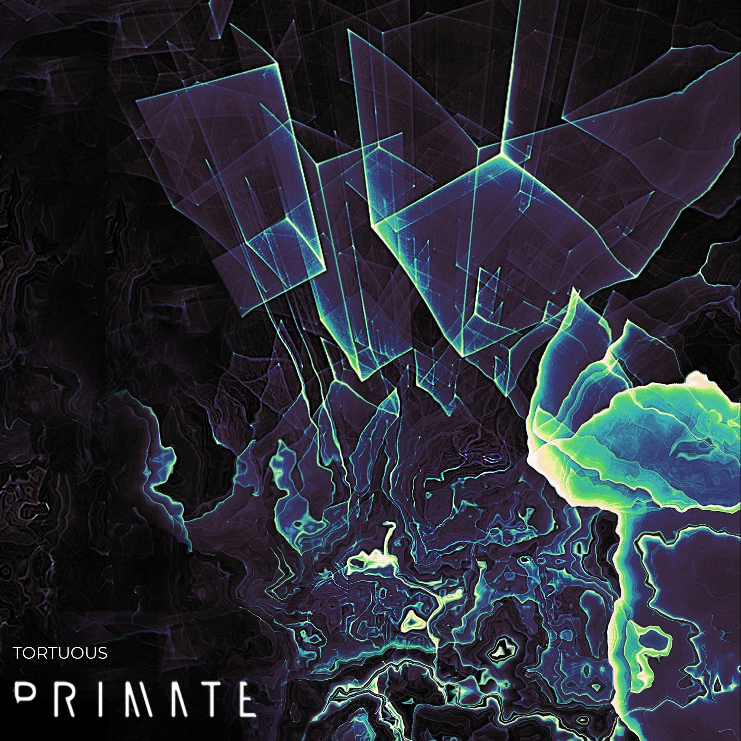 Primate - Tortuous