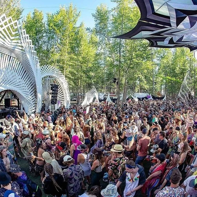 How to Practice Sustainability at Bass Coast (And Beyond)&nbsp;