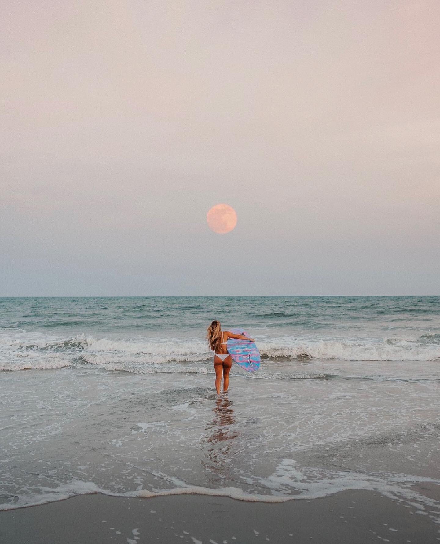 Super flower blood moon 🌝 photo by @will_is_dakine #surfbunnies #sweetmyrtle