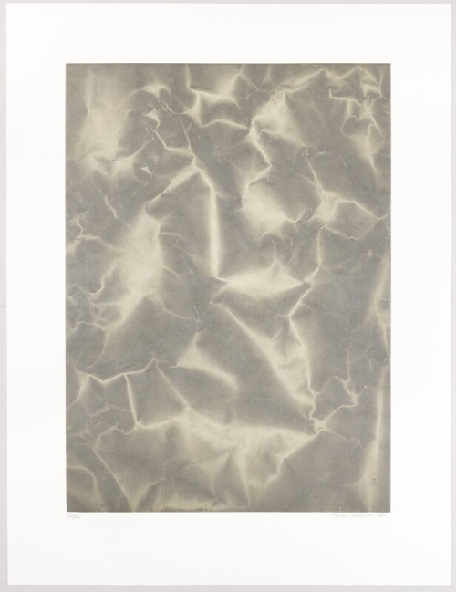Plate Distortion II, 2011 © Tauba Auerbach. Courtesy Paula Cooper Gallery, New York.