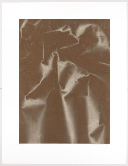 Plate Distortion III, 2011 © Tauba Auerbach. Courtesy Paula Cooper Gallery, New York.