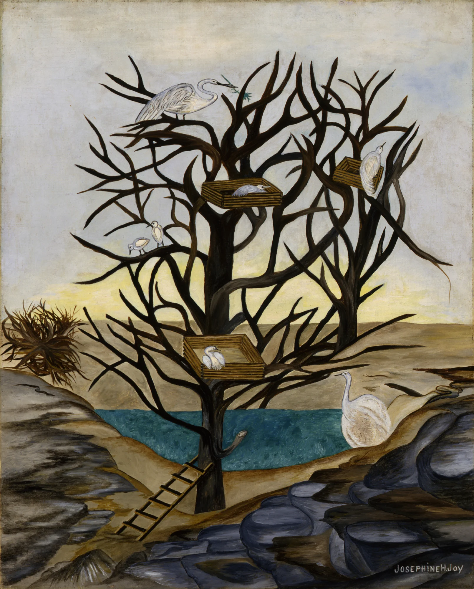 Josephine Joy, Waterbirds Nesting, ca. 1935-1939, oil on canvas, Smithsonian American Art Museum, Transfer from General Services Administration, 1971.447.42