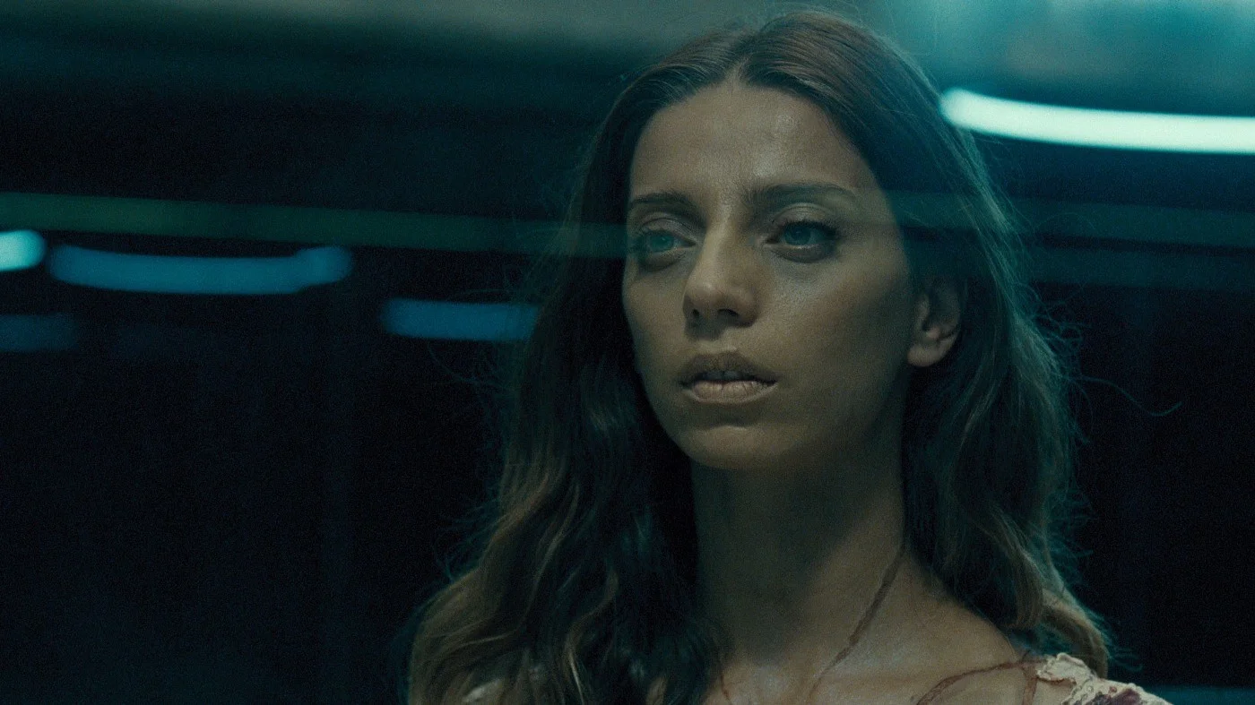 Westworld - Vanishing Point - Ignorance in the age of Complexity