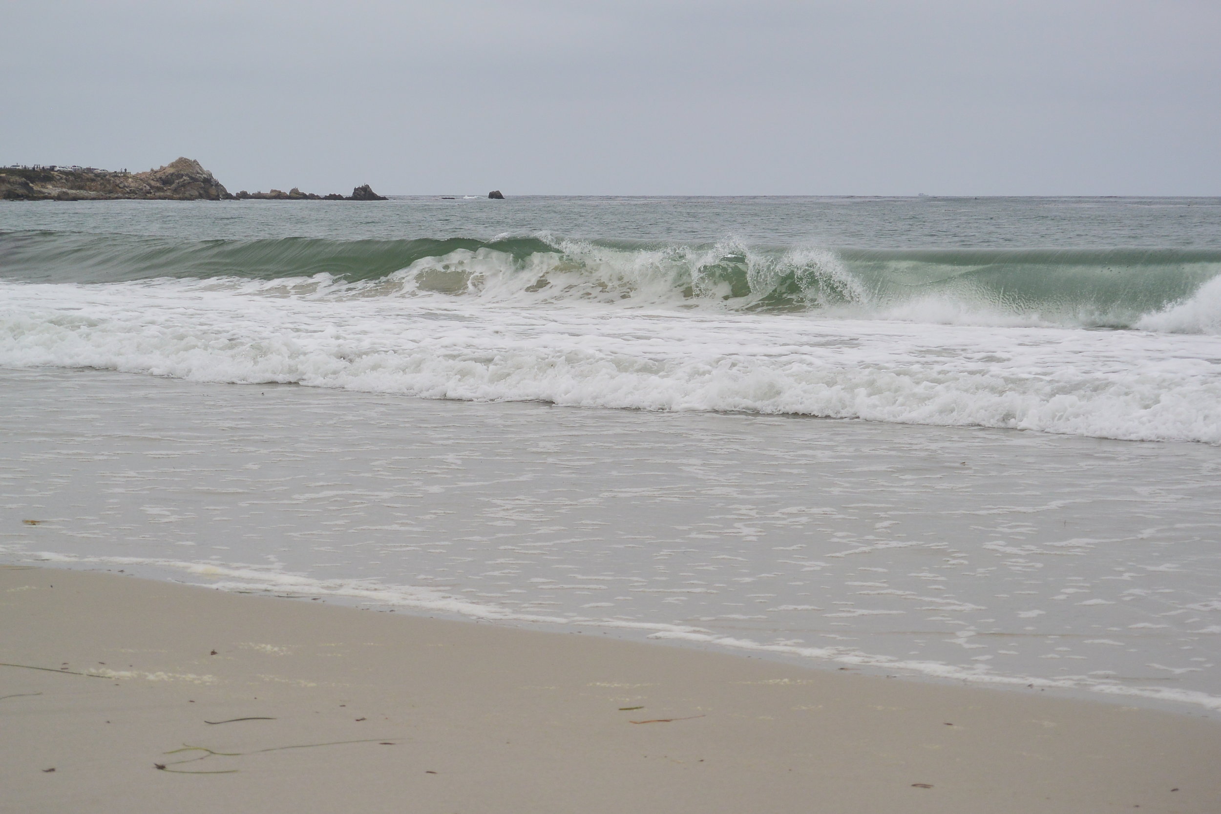 DSC_1480.JPG