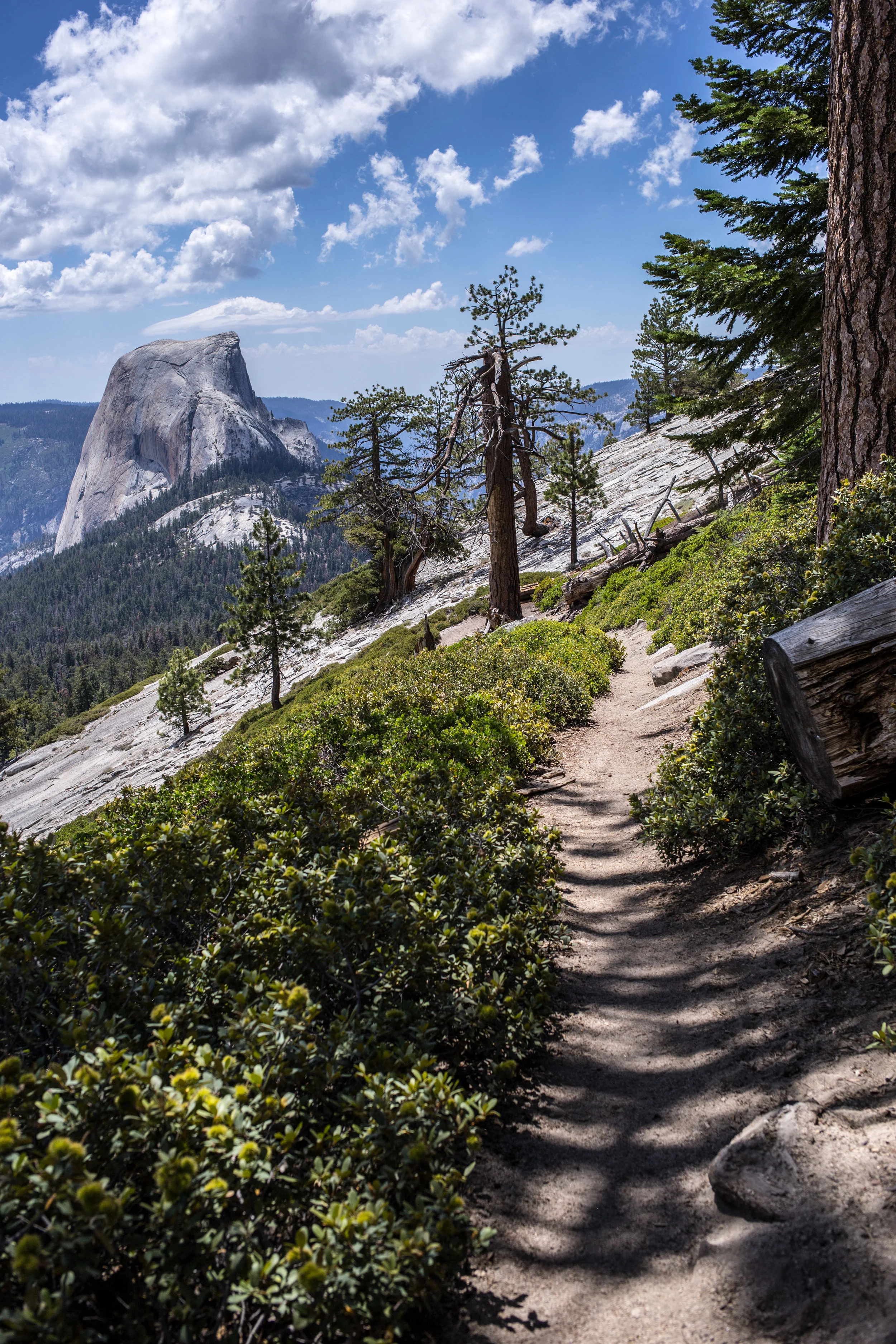 Clouds Rest Trail