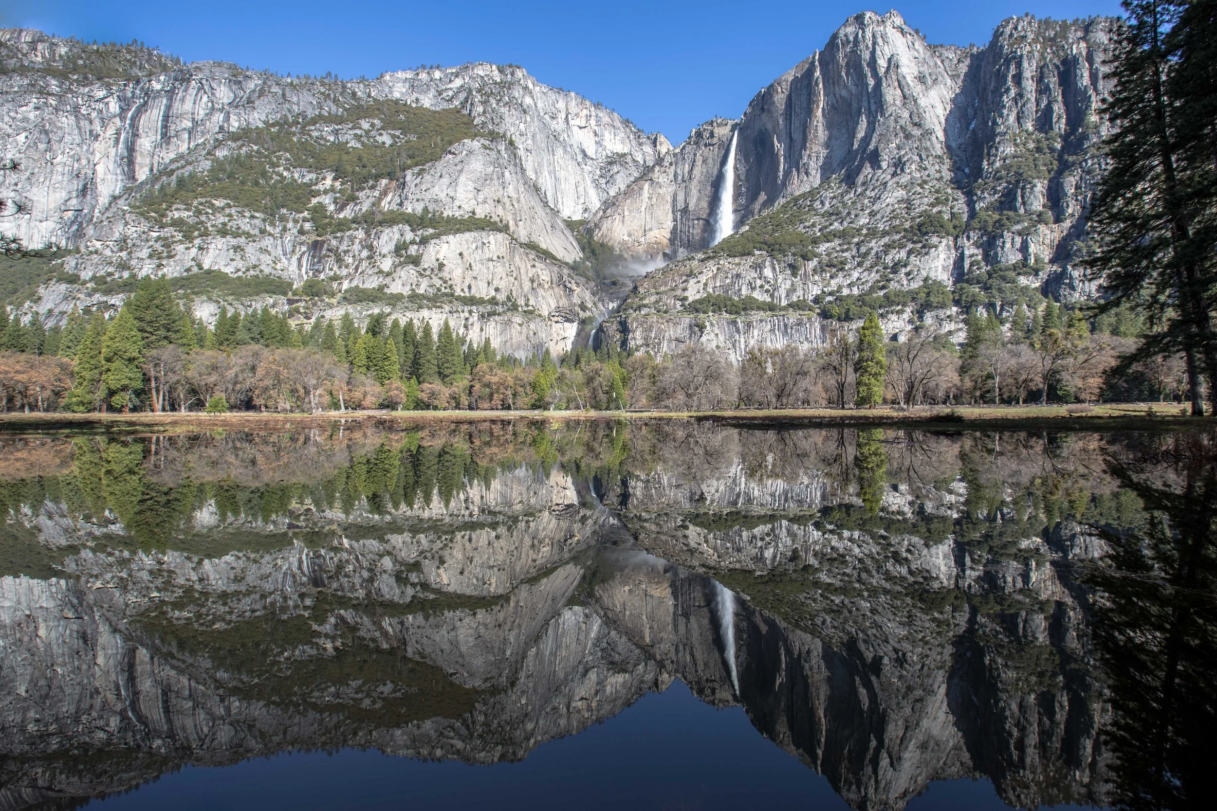 Reflecting in Yosemite 2