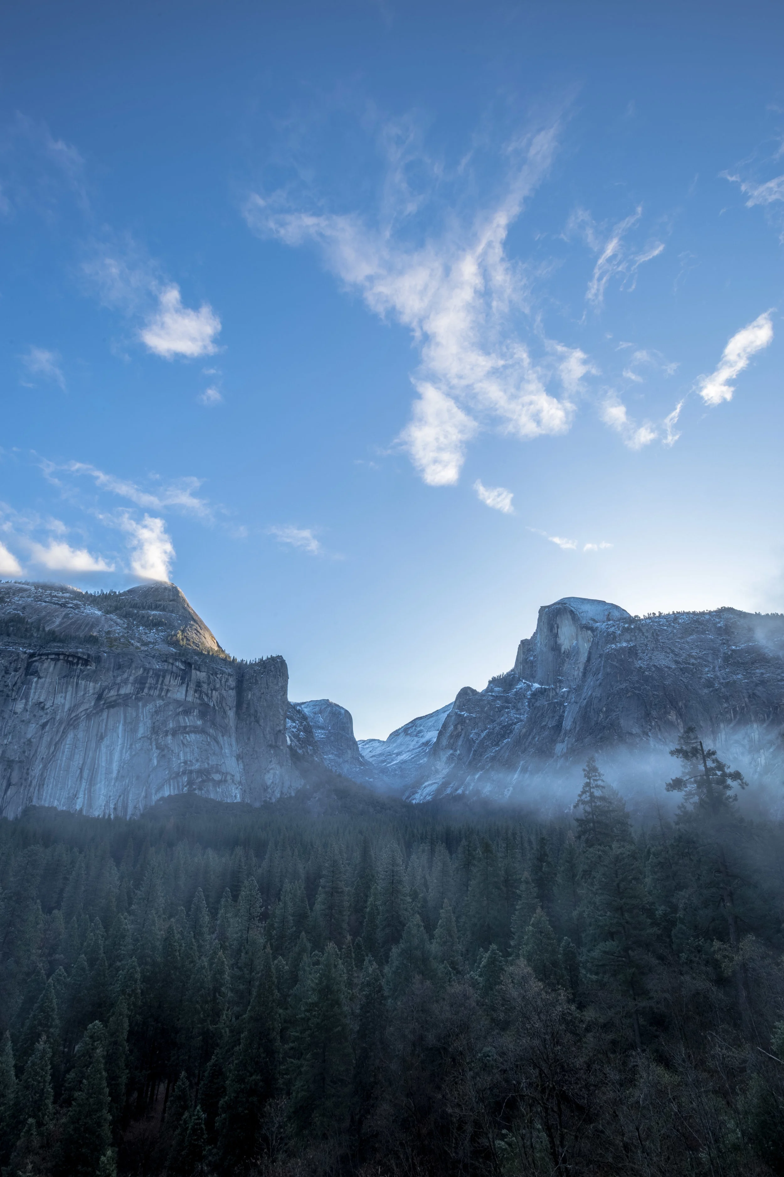 A Brisk Morning