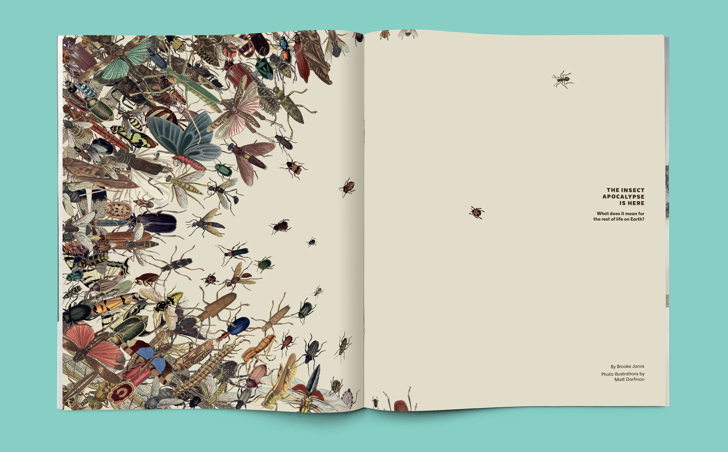 NYTM-Insects-SPD-MM01.jpg
