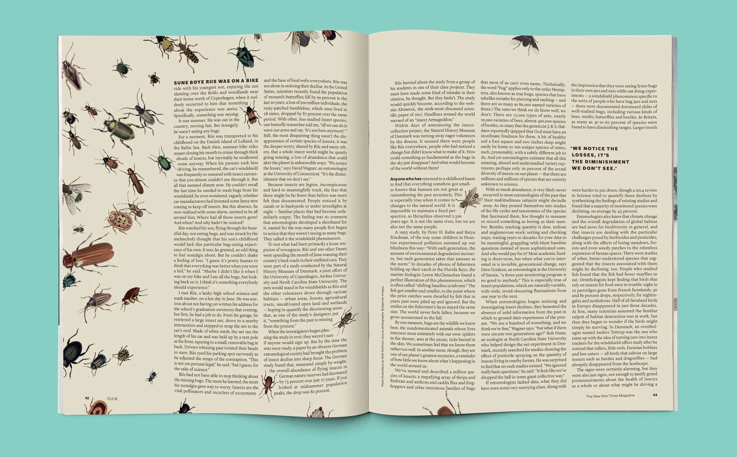 NYTM-Insects-SPD-MM02.jpg