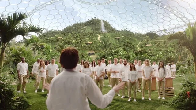 Avocados From Mexico