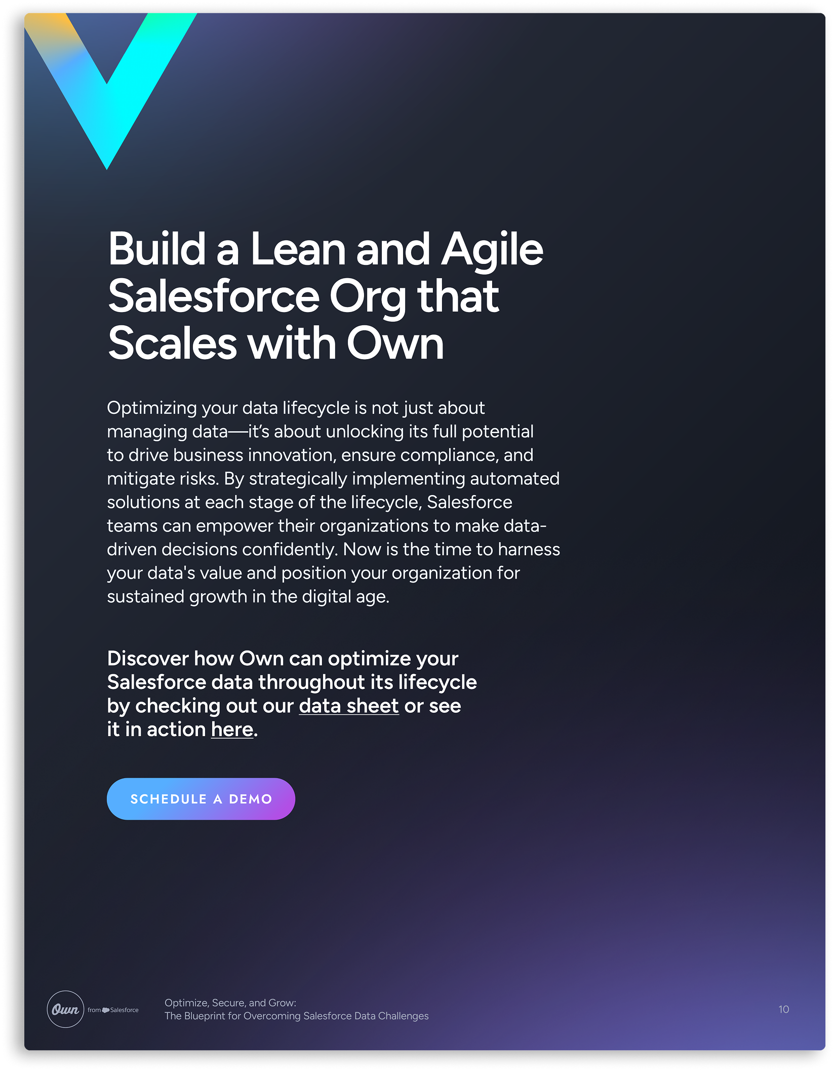 Guide - Optimize, Secure, and Grow - The Blueprint for Overcoming Salesforce Data Challenges 11.png