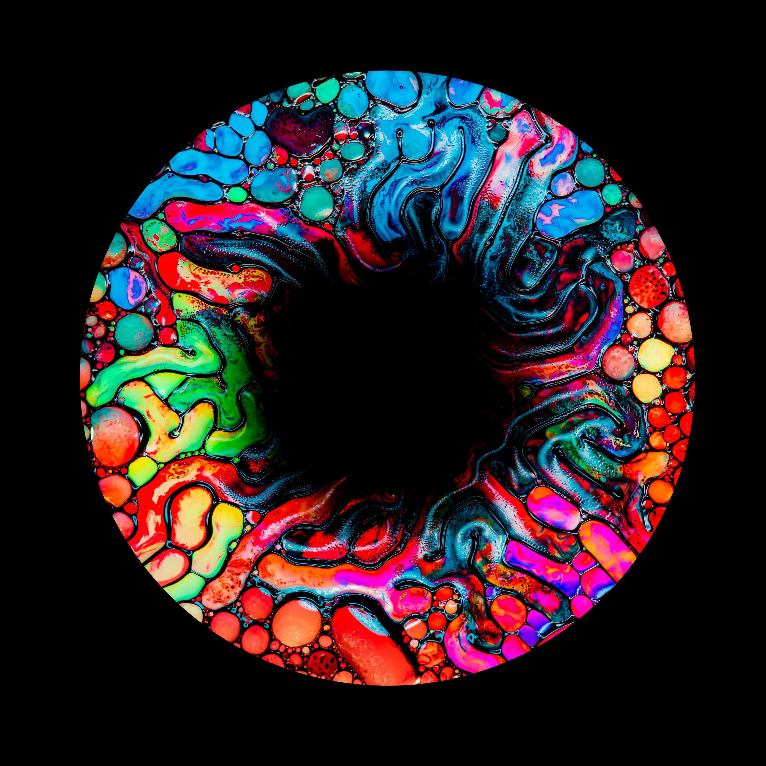 portal-.jpg