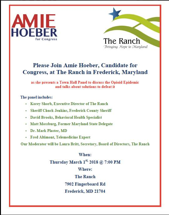 Town Hall with Amie Hoeber, Candidate for Congress