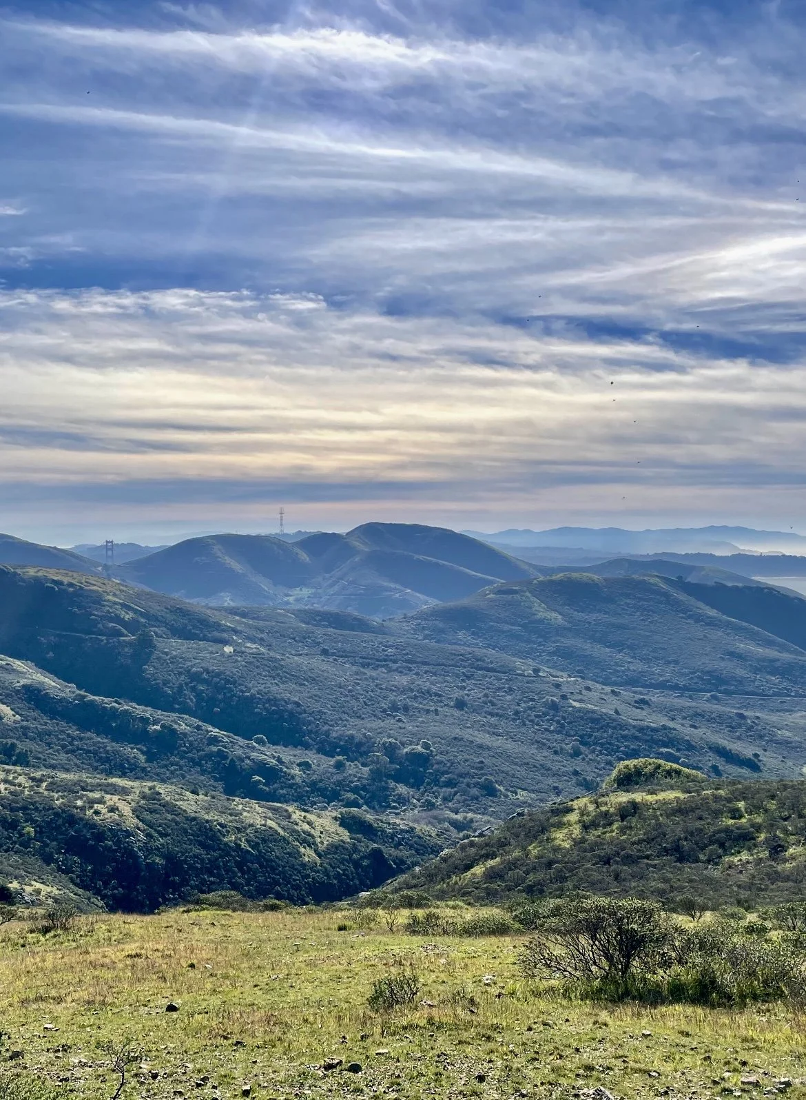 Rising Rates vs. Rising Prices