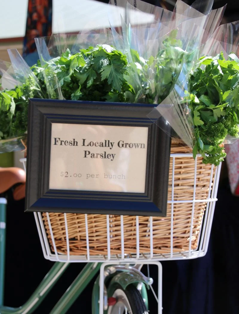 parsley-in-bike-basket-800x1051.jpg