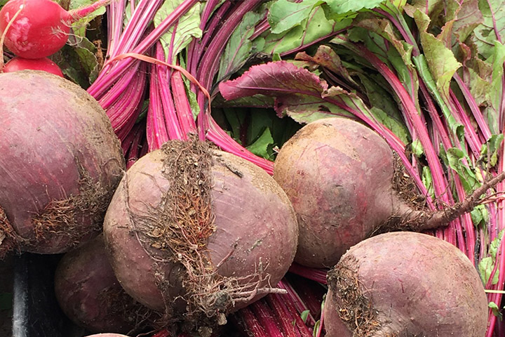 beetroot.jpg