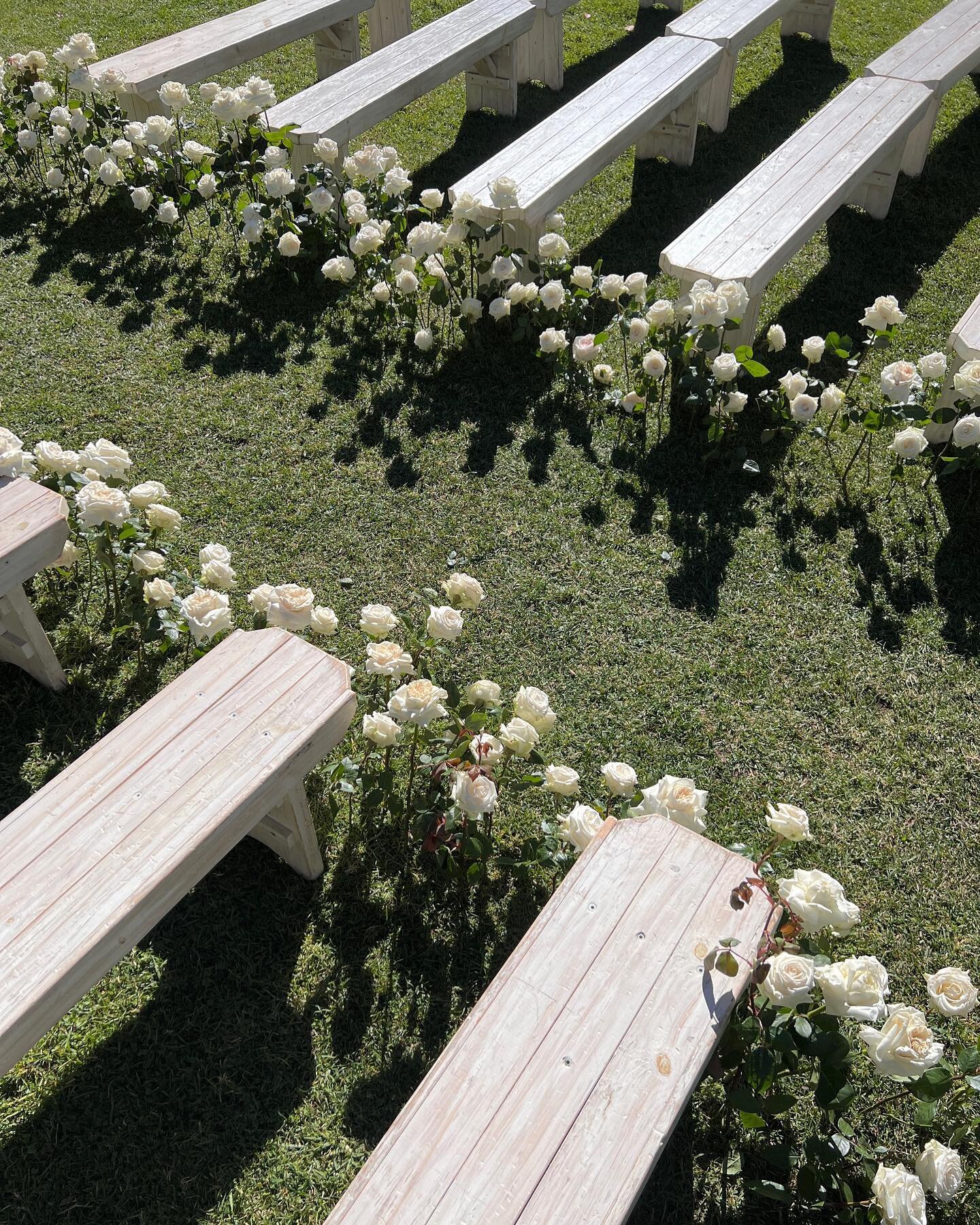 The DREAMIEST rose aisle 🤍 elegant &amp; ethereal - for Belle &amp; Tom x